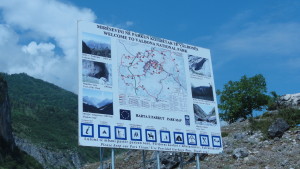 DSC03418
